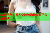 暗网揭秘：匿名交流与隐秘交易平台全解析