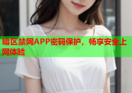 暗区禁网APP密码保护，畅享安全上网体验