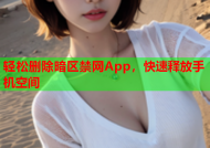 轻松删除暗区禁网App，快速释放手机空间