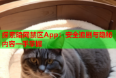 探索暗网禁区App：安全追剧与隐秘内容一手掌握