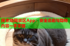 探索暗网禁区App：安全追剧与隐秘内容一手掌握