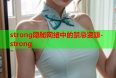 strong隐秘网络中的禁忌资源-strong