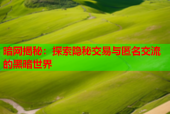 暗网揭秘：探索隐秘交易与匿名交流的黑暗世界