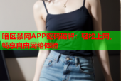 暗区禁网APP密码破解：轻松上网，畅享自由网络体验