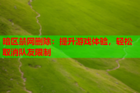 暗区禁网删除：提升游戏体验，轻松取消队友限制