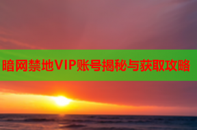 暗网禁地VIP账号揭秘与获取攻略