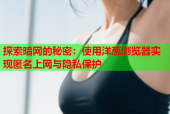 探索暗网的秘密：使用洋葱浏览器实现匿名上网与隐私保护