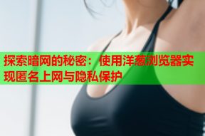 探索暗网的秘密：使用洋葱浏览器实现匿名上网与隐私保护