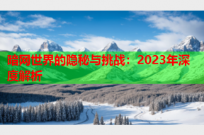 暗网世界的隐秘与挑战：2023年深度解析