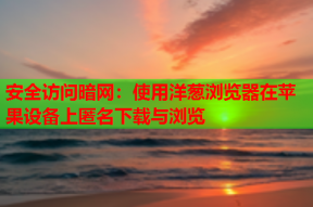 安全访问暗网：使用洋葱浏览器在苹果设备上匿名下载与浏览