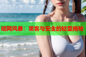 暗网风暴：黑客与安全的较量揭秘