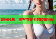 暗网风暴：黑客与安全的较量揭秘