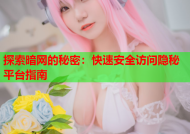 探索暗网的秘密：快速安全访问隐秘平台指南