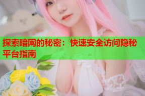 探索暗网的秘密：快速安全访问隐秘平台指南