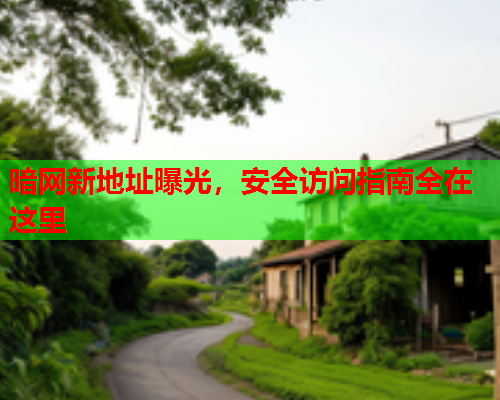 暗网新地址曝光，安全访问指南全在这里  第2张