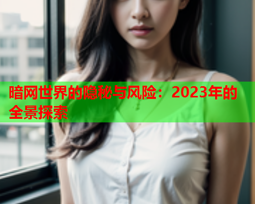 暗网世界的隐秘与风险：2023年的全景探索  第2张