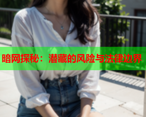 暗网探秘：潜藏的风险与法律边界  第2张