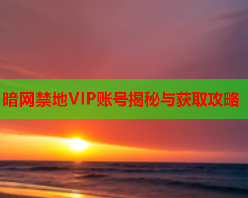 暗网禁地VIP账号揭秘与获取攻略  第1张