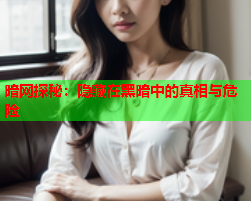 暗网探秘：隐藏在黑暗中的真相与危险  第2张