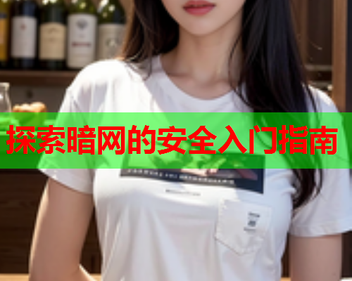 探索暗网的安全入门指南  第2张