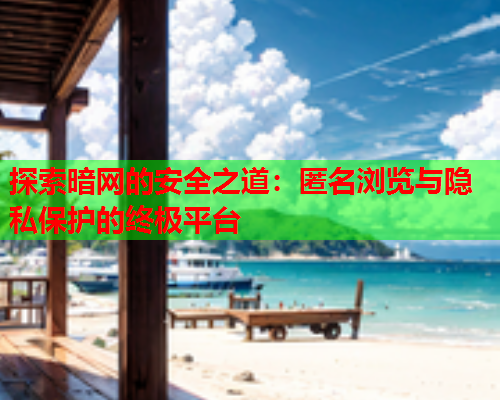 探索暗网的安全之道：匿名浏览与隐私保护的终极平台  第1张