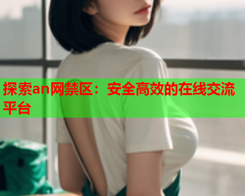 探索an网禁区：安全高效的在线交流平台  第2张