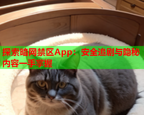 探索暗网禁区App：安全追剧与隐秘内容一手掌握  第1张