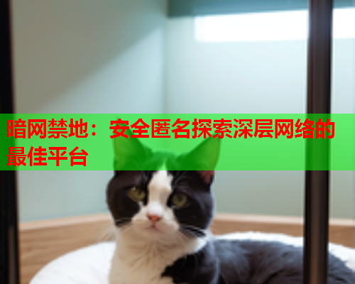 暗网禁地：安全匿名探索深层网络的最佳平台  第2张