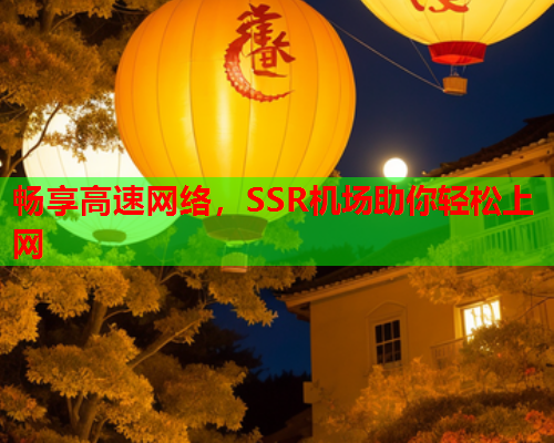 畅享高速网络，SSR机场助你轻松上网  第2张